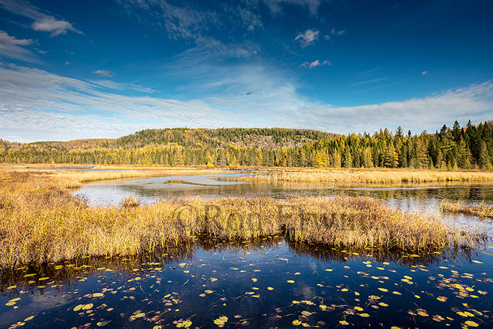 Algonquin Ontario in Autumn