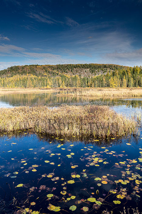 Algonquin Ontario in Autumn