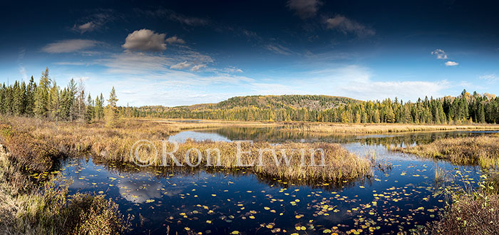 Algonquin Ontario in Autumn