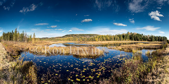 Algonquin Ontario in Autumn