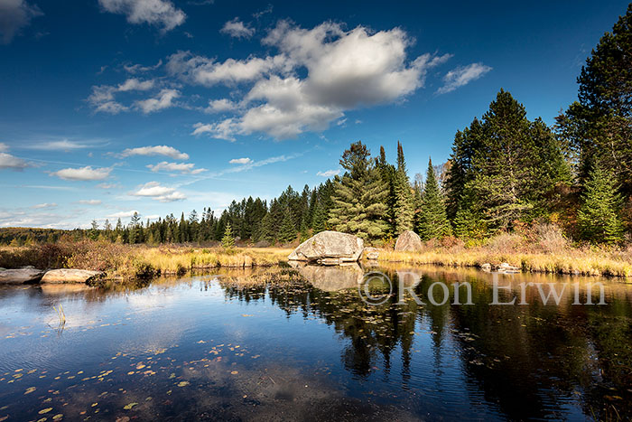 Algonquin Ontario in Autumn