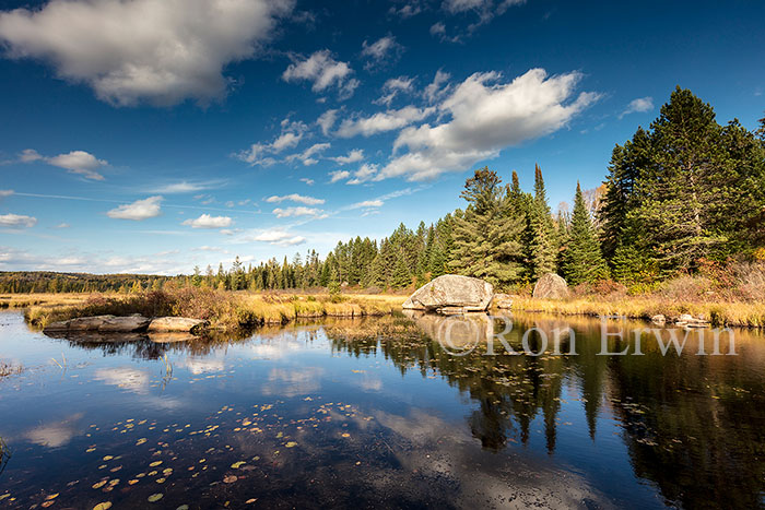 Algonquin Ontario in Autumn