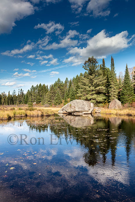 Algonquin Ontario in Autumn