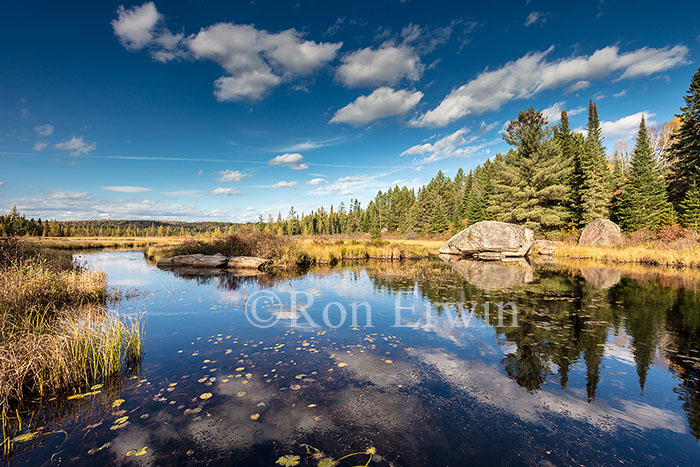 Algonquin Ontario in Autumn