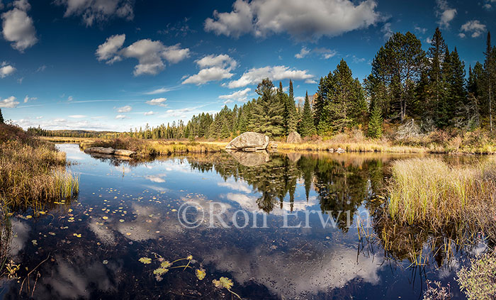 Algonquin Ontario in Autumn