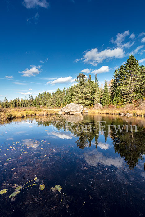 Algonquin Ontario in Autumn