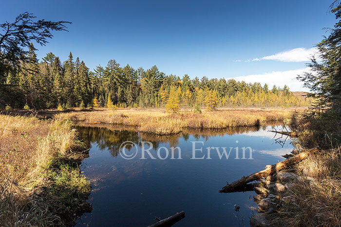 Algonquin Ontario Wetlands