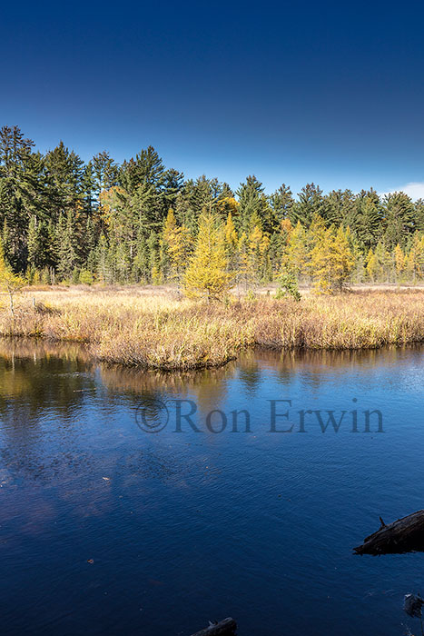 Algonquin Ontario Wetlands