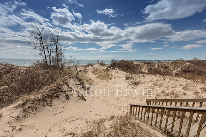 Dunes, Big Sandy Bay, Ontario