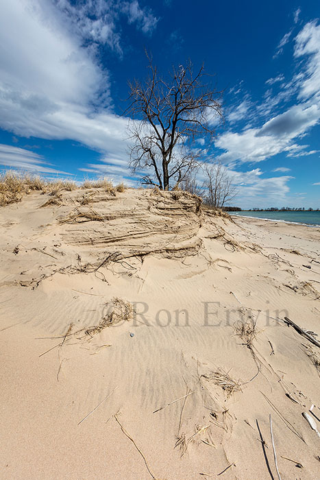 Big Sandy Bay, Ontario