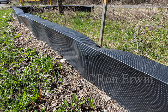 Turtle Fencing in Presqu'iles Park, ON