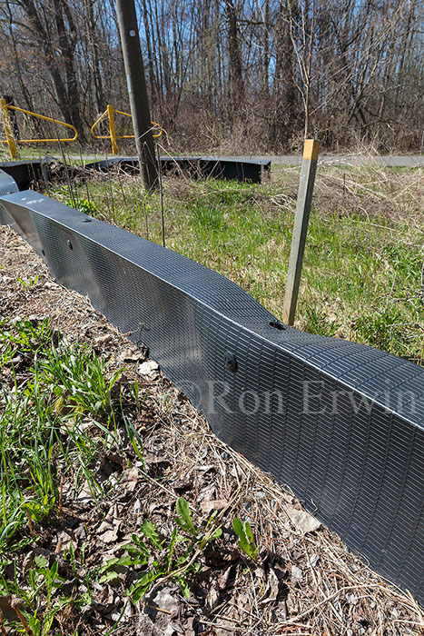 Turtle Fencing in Presqu'iles Park, ON