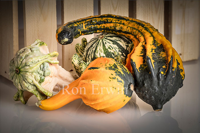 Decorative Gourds