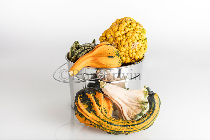 Decorative Gourds