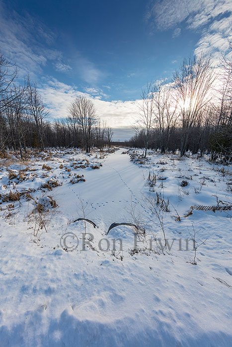 Manitoulin Island ON Wetlands