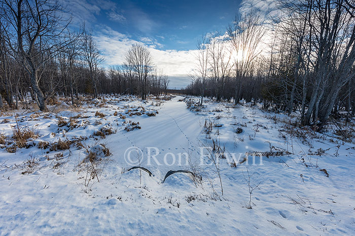 Manitoulin Island ON Wetlands