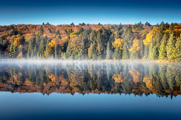 Brewers Lake, Algonquin, ON