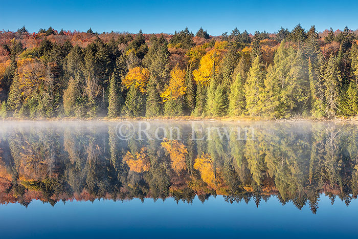 Brewers Lake, Algonquin, ON