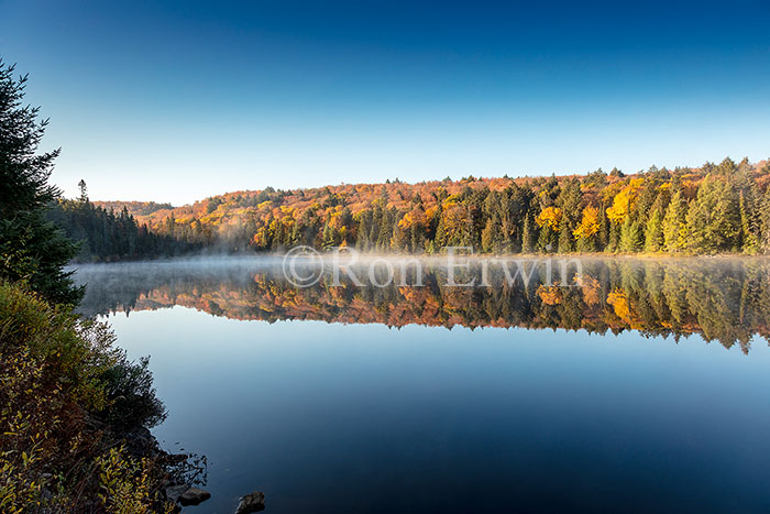 Brewers Lake, Algonquin, ON