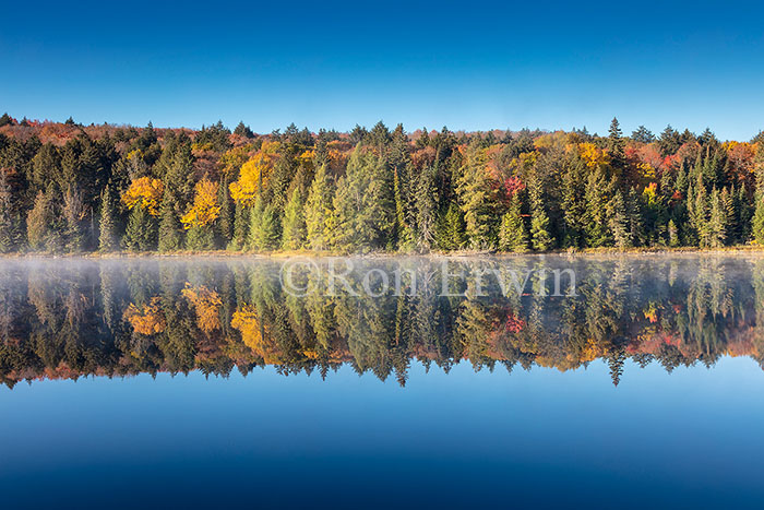 Brewers Lake, Algonquin, ON