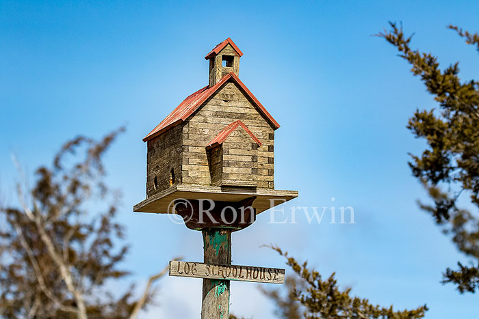Log Schoolhouse Birdhouse