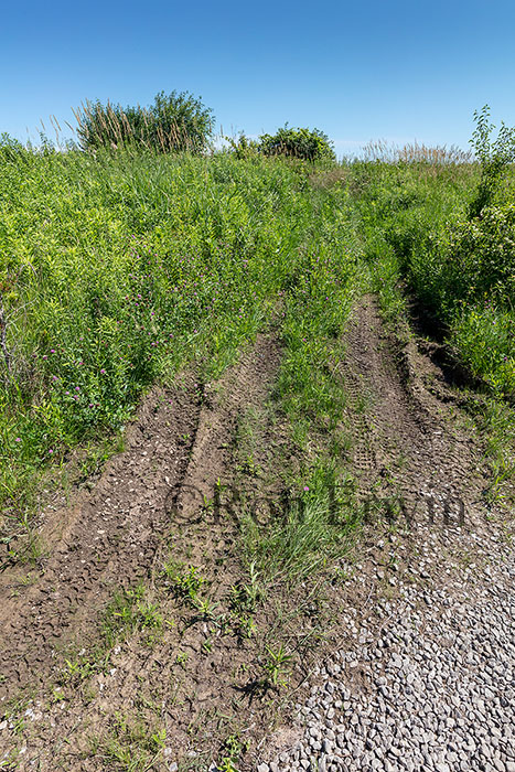 ATV tracks