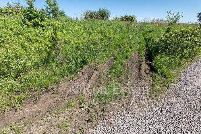 ATV tracks