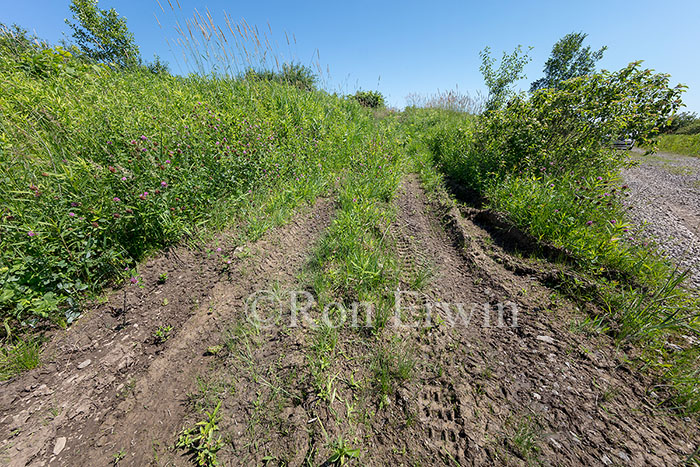 ATV tracks