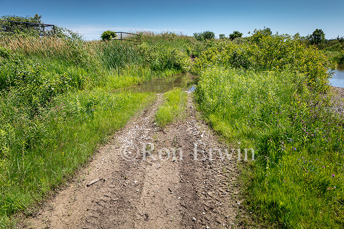 ATV Tracks in Ontario