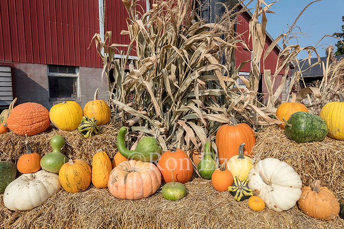 Hagerman Farms