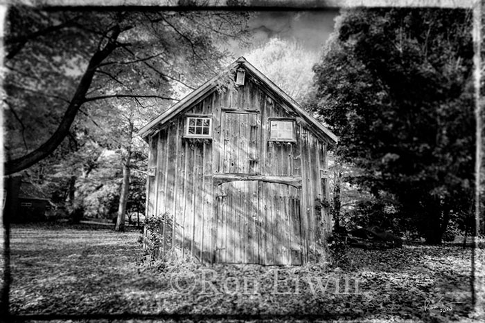 Shed in Prince Edward County