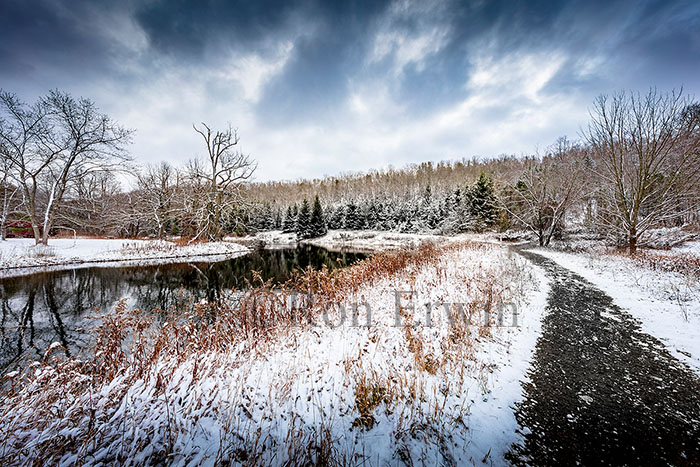Macaulay Conservation Area Winter