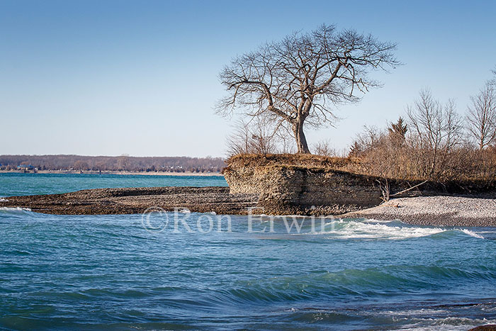 Point Petre Wildlife Conservation Area
