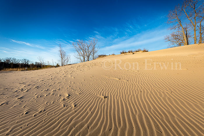 Sandbanks, ON