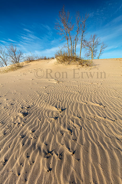 Sandbanks, ON