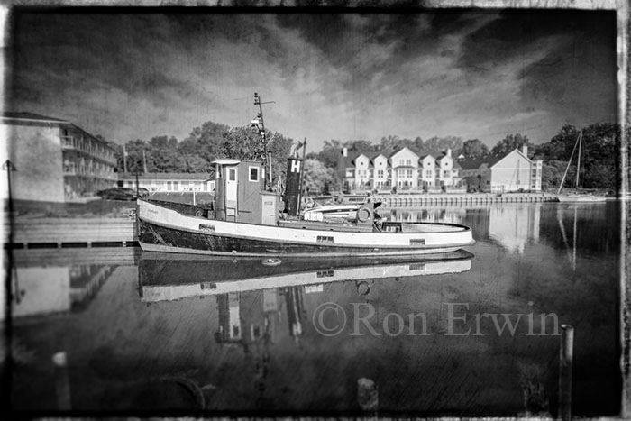 Tug in Picton Harbour