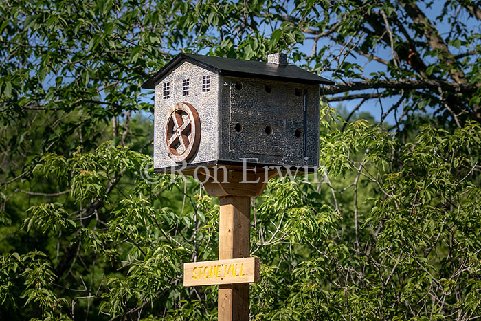 Birdhouse City, ON