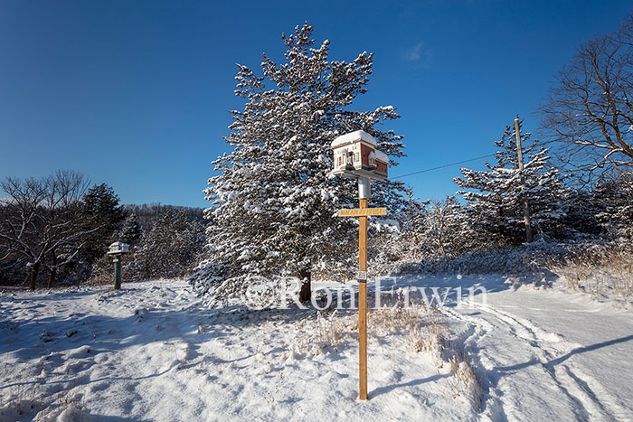 Birdhouse City, ON
