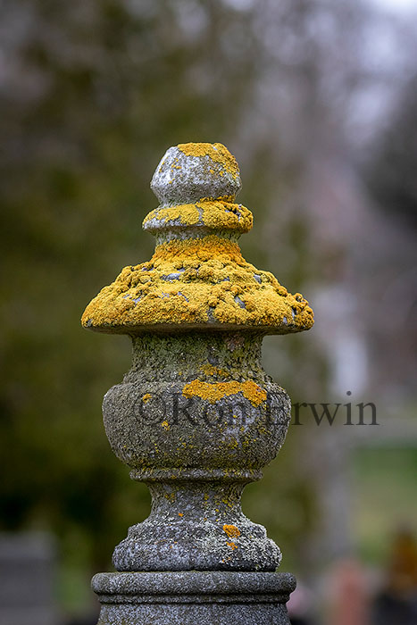Gravestone & Lichen