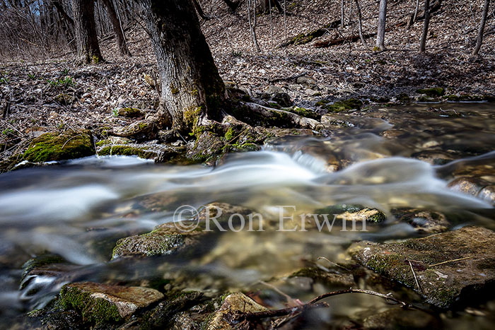 Jackson’s Falls, ON