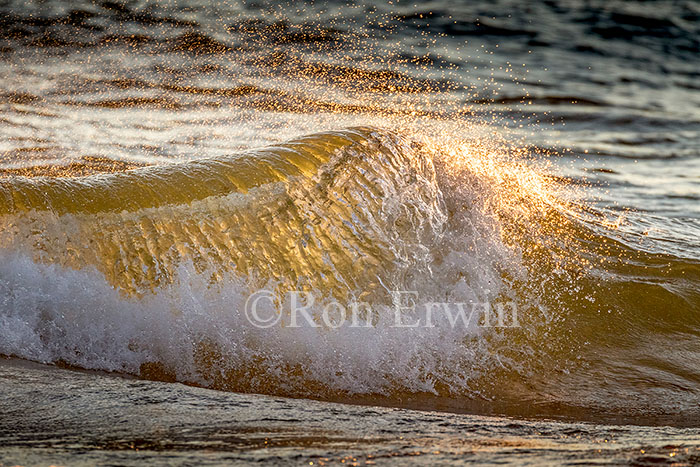 Golden Waves