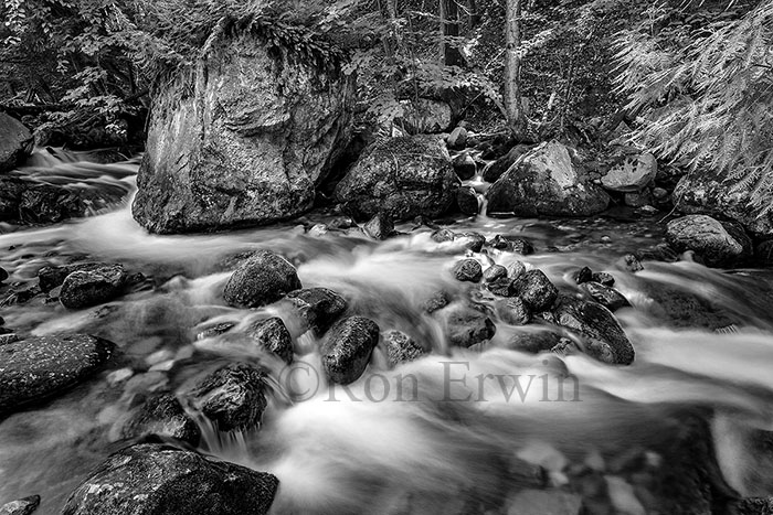 Harris Creek Ontario