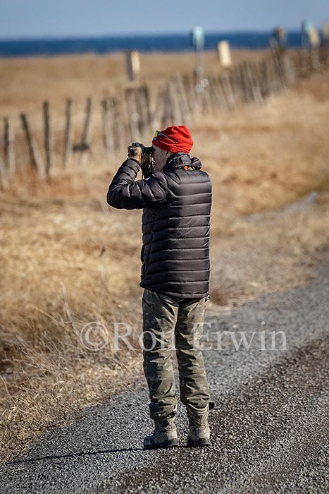 Birdwatching