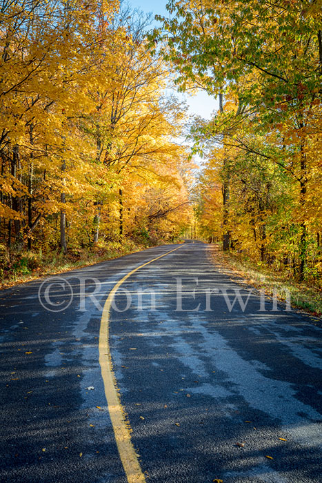 Grimmon's Woods, Ontario