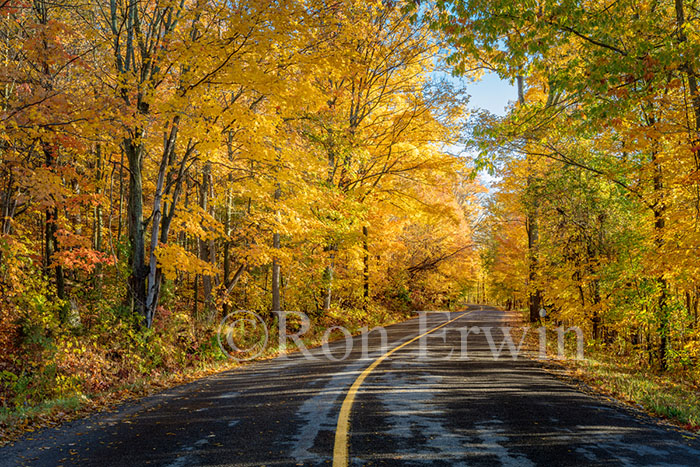 Grimmon's Woods, Ontario