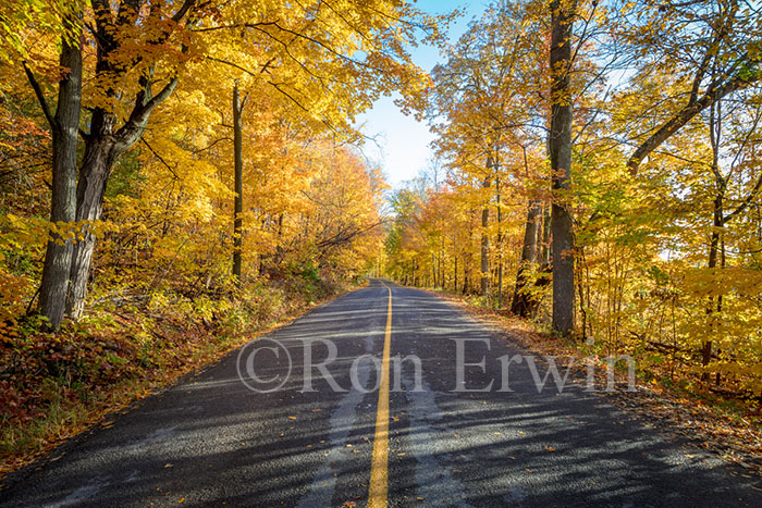 Grimmon's Woods, Ontario