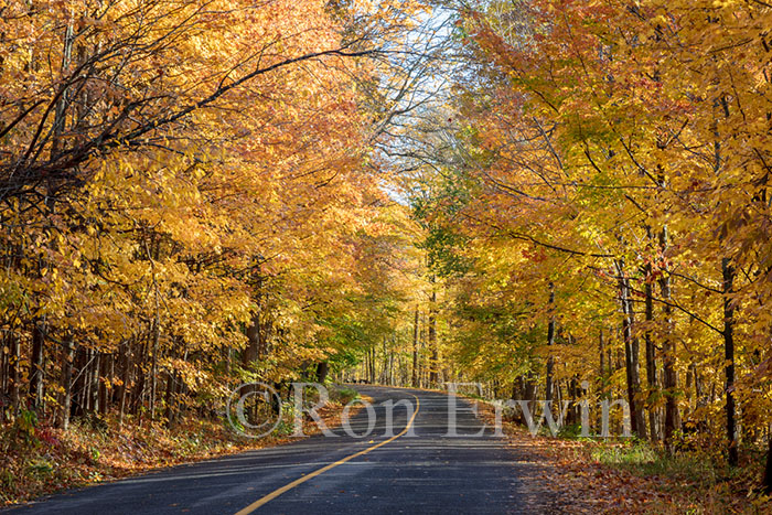Grimmon's Woods, Ontario