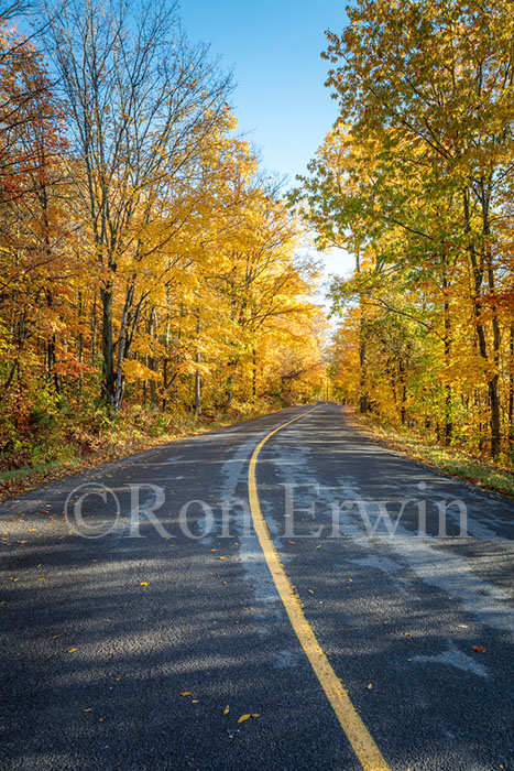 Grimmon's Woods, Ontario