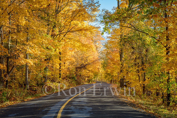 Grimmon's Woods, Ontario