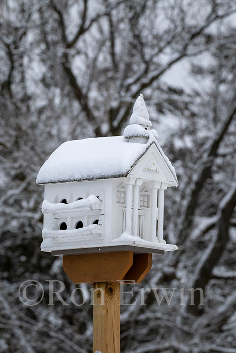 Birdhouse & Snow